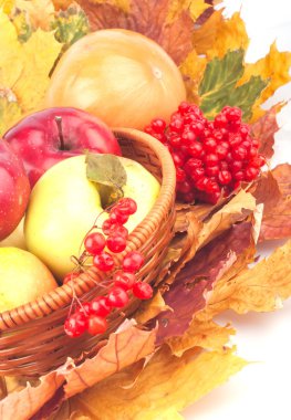 Sonbahar sakin bir hayat