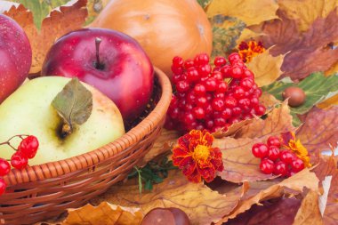 Sonbahar sakin bir hayat