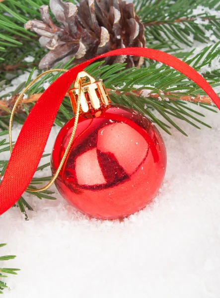 Christmas red ball on fir tree — Stock Photo, Image