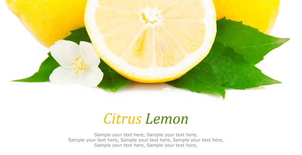 Zitrone & Text — Stockfoto