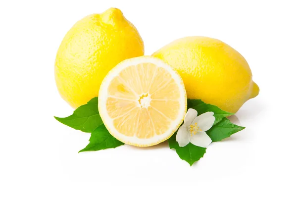 Limon — Stok fotoğraf