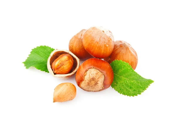 Hazelnuts — Stock fotografie