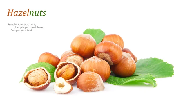 Lískové ořechy & text — Stock fotografie