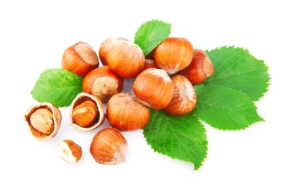 Hazelnuts — Stock fotografie