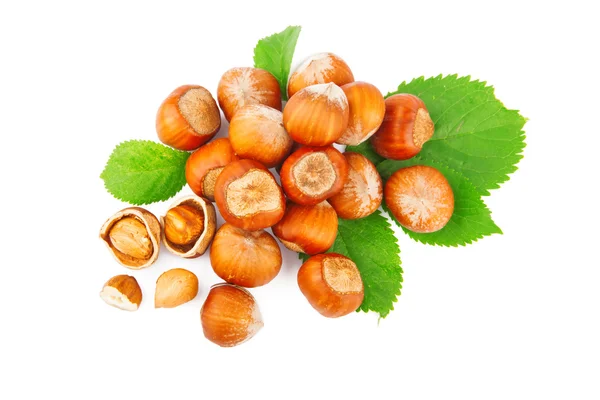 Hazelnuts — Stock fotografie