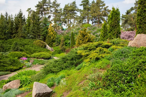 Landscaping — Stock Photo, Image