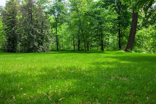 Landscaping — Stock Photo, Image