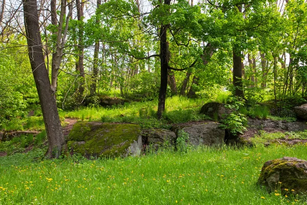 Landscaping — Stock Photo, Image