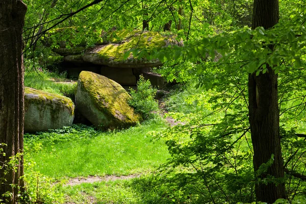 Landscaping — Stock Photo, Image