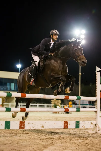 Rider competes in horse jumping competition