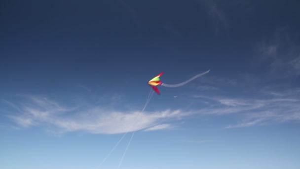 Falla kite — Stockvideo