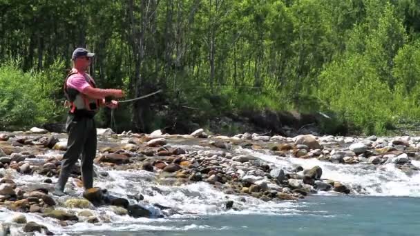 El pescador y la pesca con mosca — Vídeo de stock