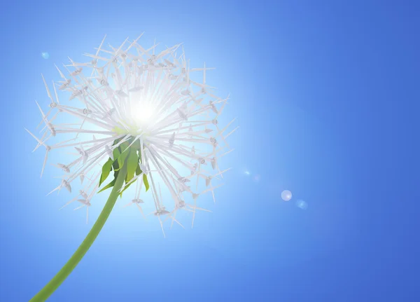 enerji tasarrufu karahindiba