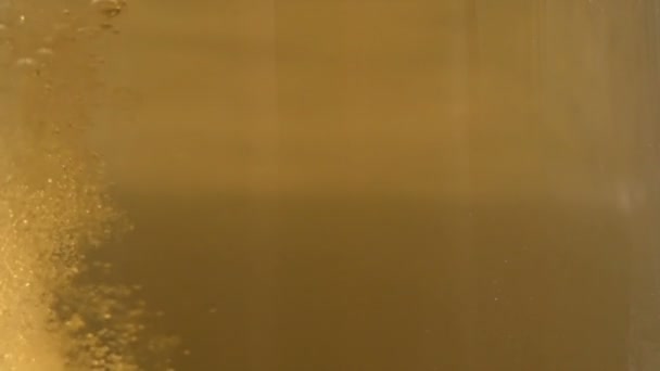 Alimentation pour bière 