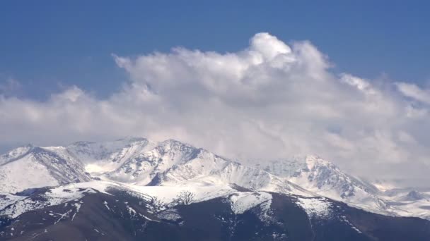 Bergtoppen in de wolken — Stockvideo