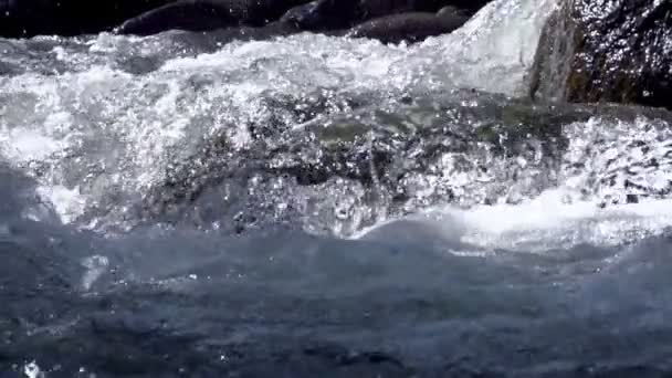 Fiume di montagna — Video Stock