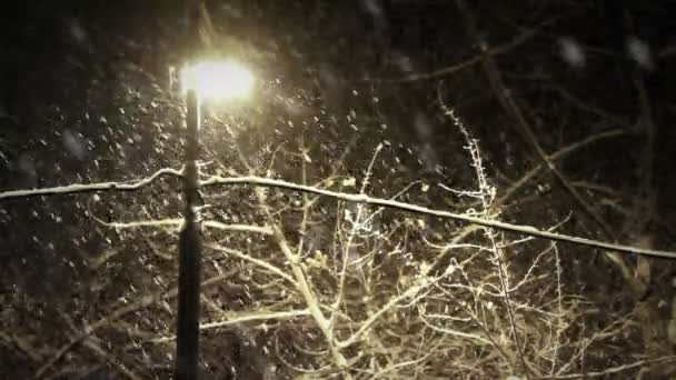 Noční sněžení — Stock video