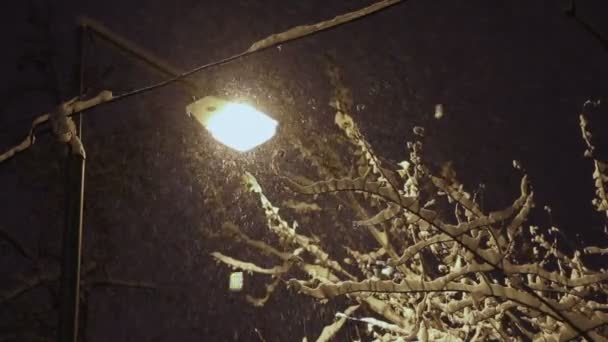 Neve durante a noite — Vídeo de Stock