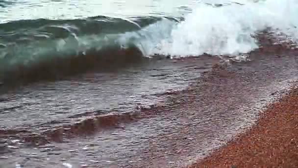 Onde lente est incident sur la plage — Video