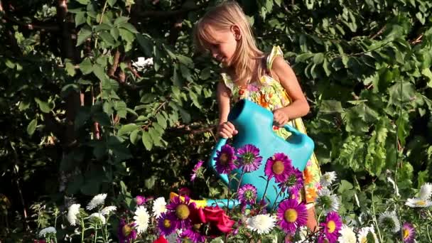 Little girl watering flowers — Stock Video