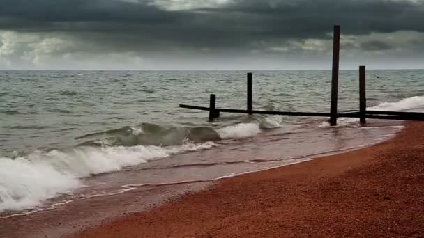 Les restes d'un squelette de la vieille jetée — Video