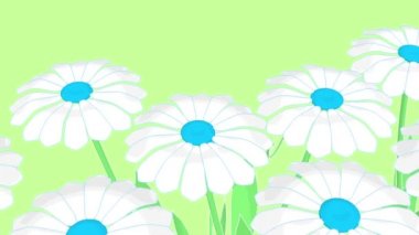 çayır çiçek çiçekler