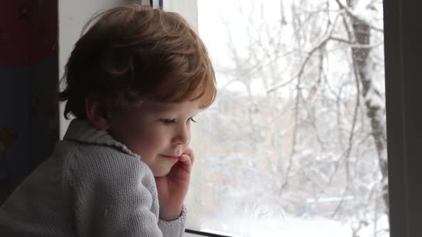 Chico mirando por la ventana — Vídeo de stock