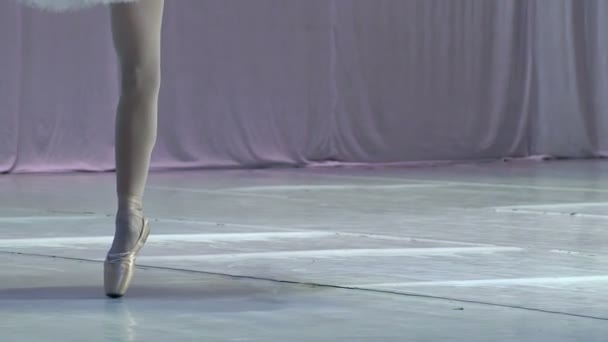 那个芭蕾舞女演员的舞蹈 — 图库视频影像
