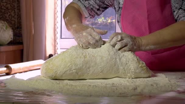 Amasar masa de galletas — Vídeos de Stock