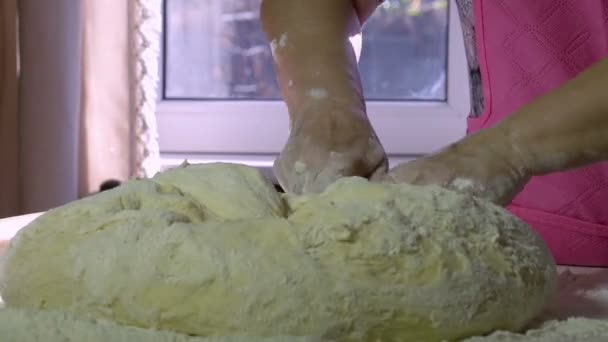Pasteles festivos. Las manos de las mujeres amasan la masa para el pastel casero en el sol — Vídeos de Stock