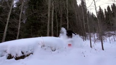 aşağı atla. sporcu bir snowboard üzerinde