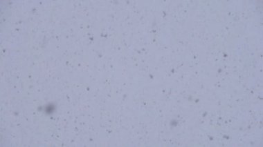 yavaş yavaş aşağı düşen kar büyük pul