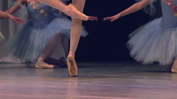 Baleina seine Party tanzen auf dem Hintergrund Tänzer — Stockvideo