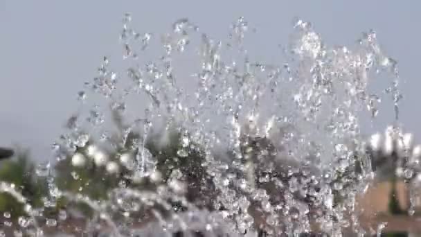 Fuente del parque — Vídeo de stock