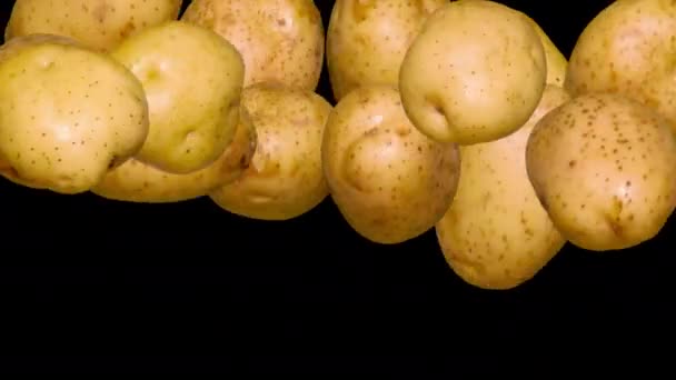 Промита Картопля Під Час Стрибка Чорному Три Варіанти Свіжих Картопляних — стокове відео