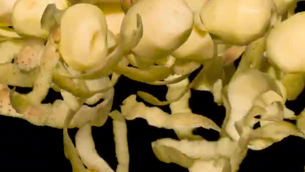 Картошка Шкуры Прыжке Черном Три Варианта Свежеочищенных Картофельных Клубней Кожуры — стоковое видео
