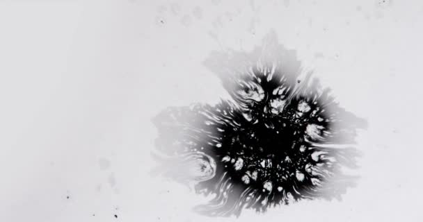 心の抑うつ状態 白い紙に黒インクのドロップ落ちる汚れと非常に素敵なスポットを作成 それを通って流れ 120 Fps の速度で撮影 — ストック動画