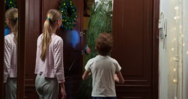 Bir kurye eve büyük ambalajlı bir Noel ağacı getirir. O, çocuklar tarafından karşılanır. Kız tabletin üzerine imza atıyor. Kurye çocuğa Noel ağacı süsü verir.