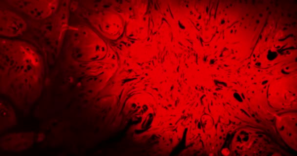 紧急血液分析 一滴红色的墨水滴在黑色的纸上 并蔓延到它 创造一个很好的斑点与污点 以120Fps 的速度拍摄的 — 图库视频影像