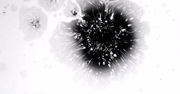 Light Infection Drop Black Ink White Paper Falls Flows Creating — Stock Video