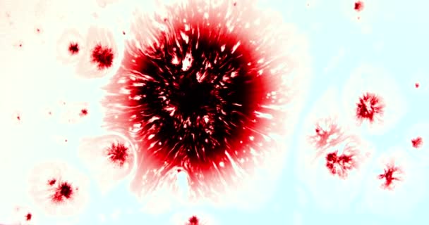 Zlomyslná Biologické Invaze Kapky Kape Krev Bílý Povrch Průtok Velmi — Stock video