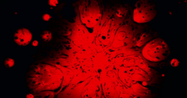 Розвиток Вірусу Викликає Хвороби Крапля Червоного Чорнила Падає Чорний Папір — стокове відео