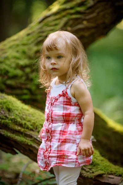 Menina na floresta — Fotografia de Stock