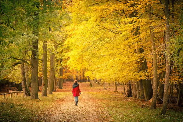 Im Herbstpark — Stockfoto