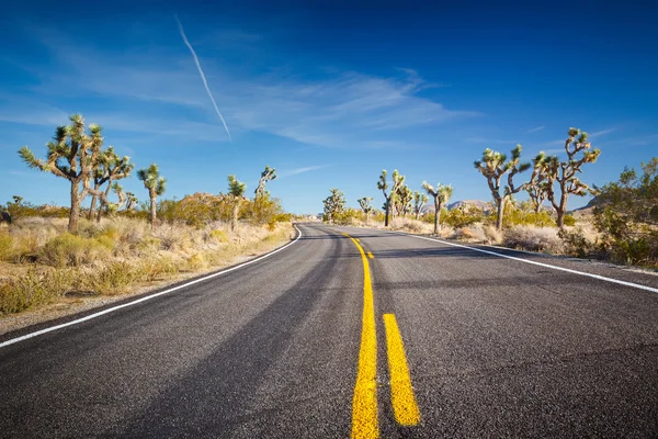 Joshua Tree Ulusal Parkı — Stok fotoğraf