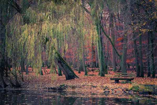 Teich im Herbstpark Stockbild