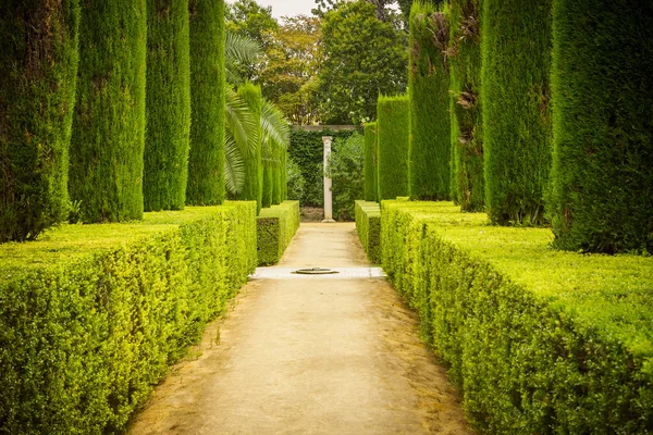 Bahçe içinde alcazar Seville şairlerden — Stok fotoğraf