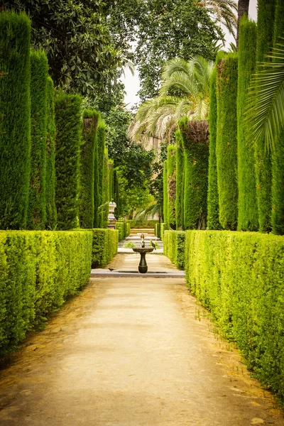 Trädgården av poeter i alcazar, sevilla — Stockfoto