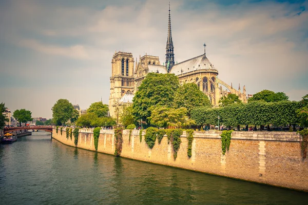 Notre dame de Paris — Stok fotoğraf