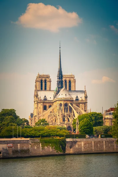 Notre Dame w Paryżu — Zdjęcie stockowe